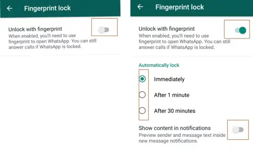 Fingerprint lock