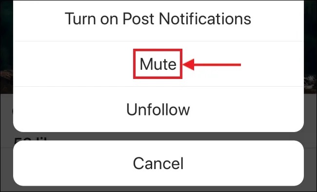 How to Mute Someone on Instagram Without Unfollowing Them - icoTech