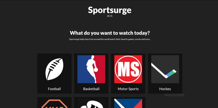 SportSurge Alternatives