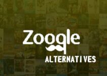 15 Best Zooqle Proxy Mirror Sites and Unblock