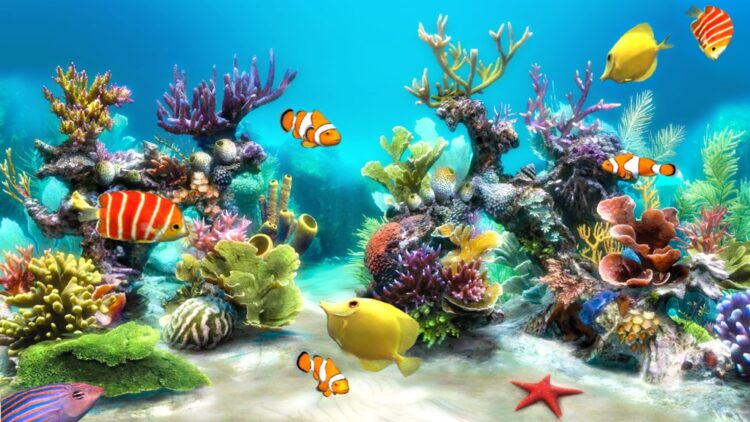 Aqua 3D Live Wallpaper