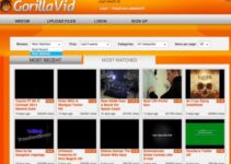 Top 14 Best Gorillavid Alternatives Sites in 2023