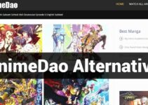 Top 15 Best Animedao Alternatives Sites to Watch Anime Free 2023