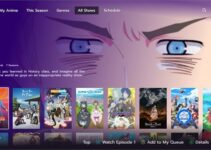 Top 25 Best Funimation Alternatives To Watch Anime Online 2023