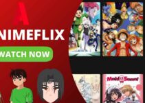 Top 10 Best Animeflix Alternatives to Watch Free Anime