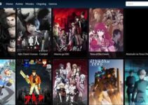 Best 20 AnimeRhino Alternatives To Watch Anime For Free