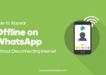 How to Show Offline Status on WhatsApp