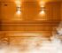 Wellhealthorganic.com:Difference Between Steam Room and Sauna Health Benefits of SteamRoom